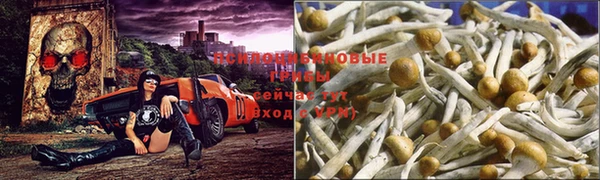 МДПВ Алзамай