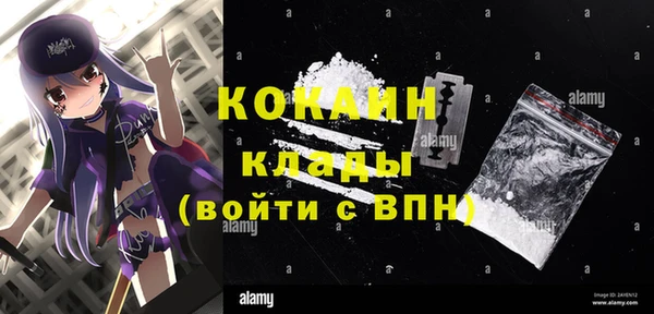 МДПВ Алзамай