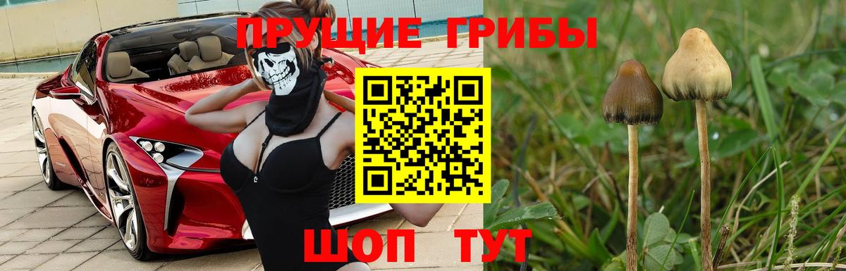 Псилоцибиновые грибы Psilocybe  Галлюциногенные грибы мухоморы  Вход с VPN  Дзержинск 